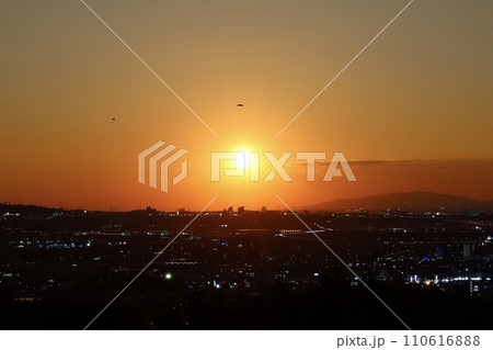 JOYO City Lights JOYO City Lights 110616888