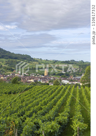 Vineyards with Arbois town, Department Jura, Franche-Comte, France Vineyards with Arbois town, Department Jura, Franche-Comte, France 110617332