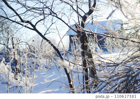 Winter specific. Branches covered with frost. Winter wonderland. Snow-blanketed countryside. The calm and serenity of a winter day in the heart of the rural landscape. 110617381
