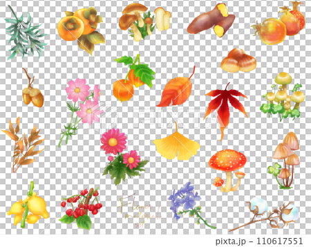 Seasonal material set (autumn) 110617551