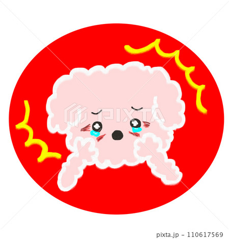 涙焼けトラブルに困っている犬 110617569