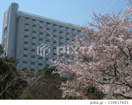 桜とグランドプリンスホテル新高輪 村野藤吾 桜とグランドプリンスホテル新高輪 村野藤吾 110617681