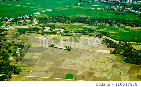 aerial view of rice fields aerial view of rice fields 110617859