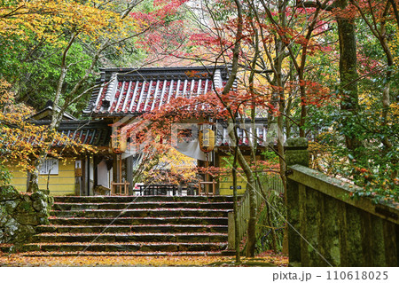 晩秋の瑞石山永源寺 総門 晩秋の瑞石山永源寺 総門 110618025