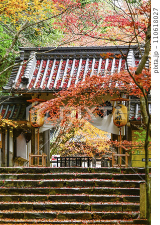 晩秋の瑞石山永源寺　総門 110618027