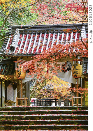 晩秋の瑞石山永源寺　総門 110618028