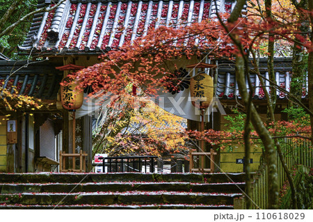 晩秋の瑞石山永源寺　総門 110618029