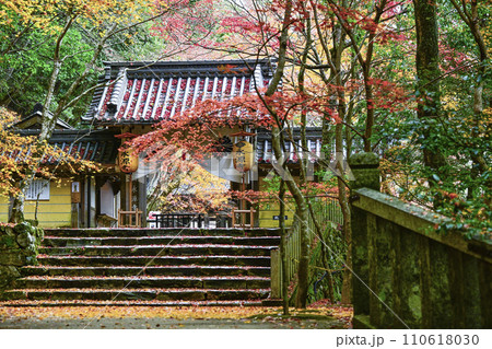 晩秋の瑞石山永源寺 総門 晩秋の瑞石山永源寺 総門 110618030