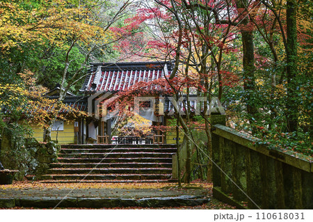 晩秋の瑞石山永源寺　総門 110618031