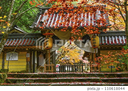 晩秋の瑞石山永源寺　総門 110618044