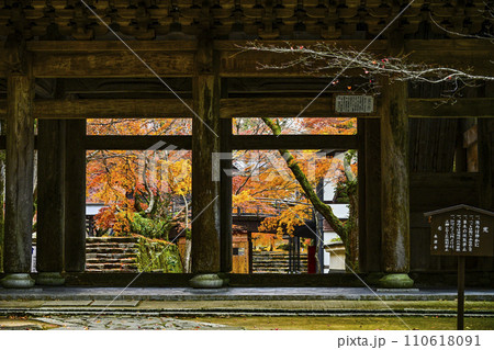 晩秋の瑞石山永源寺　山門 110618091