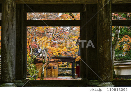晩秋の瑞石山永源寺　山門 110618092