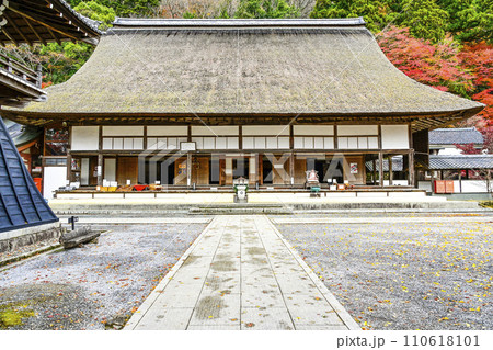 晩秋の瑞石山永源寺　本堂 110618101