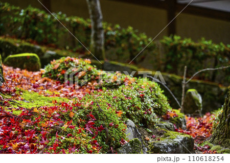 晩秋の瑞石山永源寺　境内の紅葉 110618254