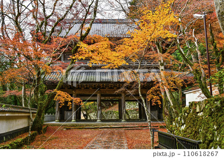 晩秋の瑞石山永源寺　山門 110618267