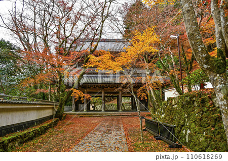 晩秋の瑞石山永源寺 山門 晩秋の瑞石山永源寺 山門 110618269