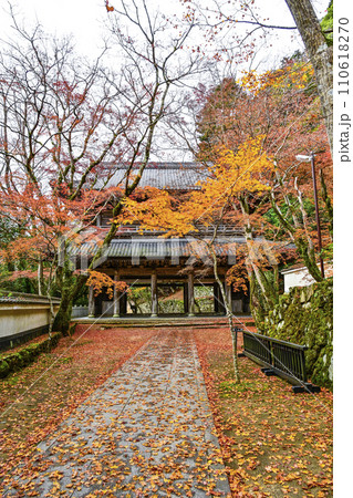 晩秋の瑞石山永源寺　山門 110618270