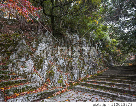 晩秋の瑞石山永源寺　羅漢坂 110618272