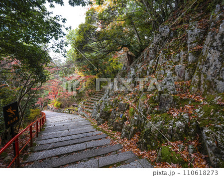 晩秋の瑞石山永源寺　羅漢坂 110618273