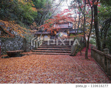 晩秋の瑞石山永源寺　総門 110618277