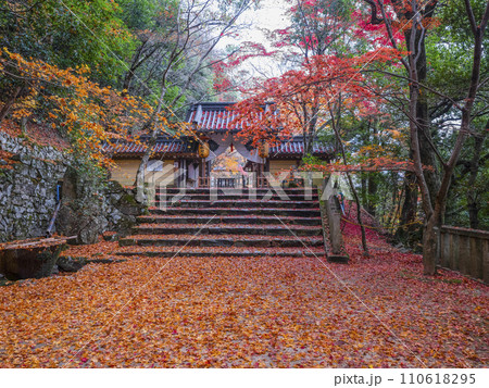 晩秋の瑞石山永源寺 総門 晩秋の瑞石山永源寺 総門 110618295