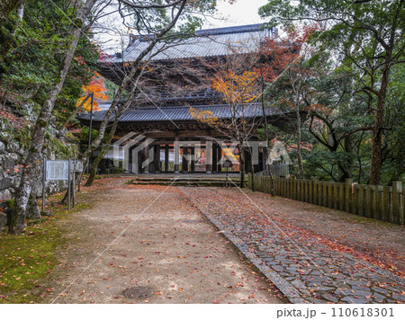 晩秋の瑞石山永源寺 山門 晩秋の瑞石山永源寺 山門 110618301