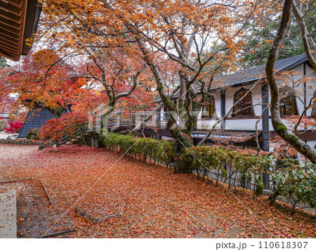 晩秋の瑞石山永源寺　境内の紅葉 110618307