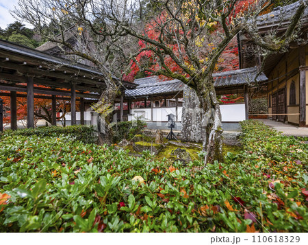 晩秋の瑞石山永源寺　瑞石（ずいせき） 110618329