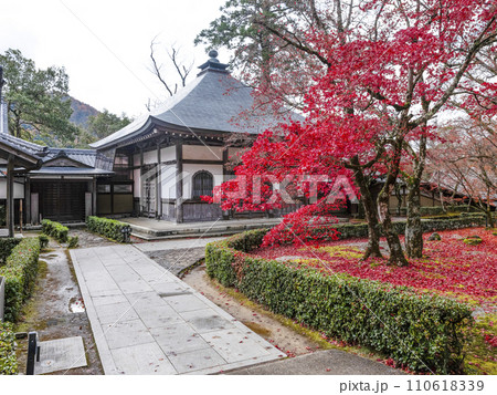 晩秋の瑞石山永源寺　境内の紅葉 110618339