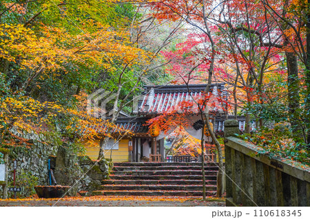 晩秋の瑞石山永源寺 総門 晩秋の瑞石山永源寺 総門 110618345