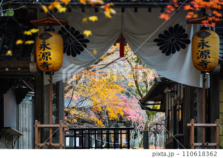 晩秋の瑞石山永源寺 総門 晩秋の瑞石山永源寺 総門 110618362