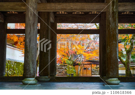 晩秋の瑞石山永源寺　山門 110618366