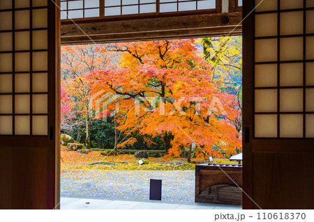 晩秋の瑞石山永源寺　境内の紅葉 110618370
