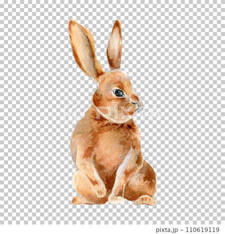 Easter hare watercolor illustration isolated on white background. Red bunny hand drawn. Painted wild animal with long ears. One hare. Element for design Easter card. Cute vintage bunny 110619119