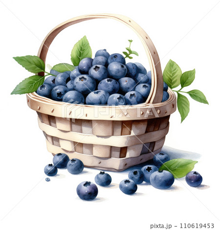Watercolor blueberries in a wicker basket on white background Watercolor blueberries in a wicker basket on white background 110619453