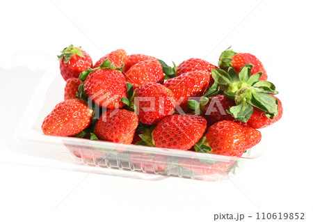 いちご(べにたま) いちご(べにたま) 110619852