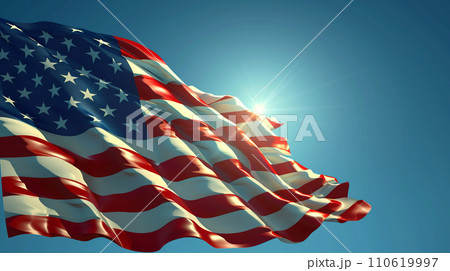 青空と星条旗 110619997
