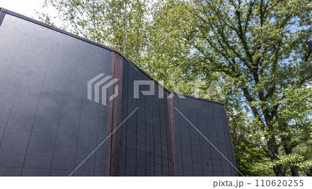 車の上で太陽光発電 110620255