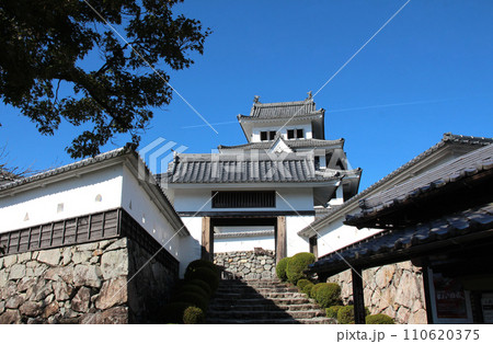 日本最古の木造再建城郡上八幡城 110620375