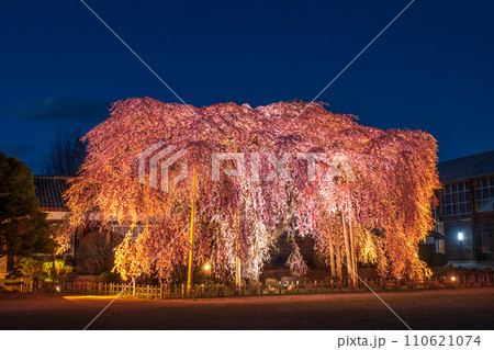 杵原学校の枝垂れ桜（ライトアップ） 110621074