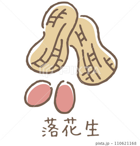 落花生のイラスト 落花生のイラスト 110621168