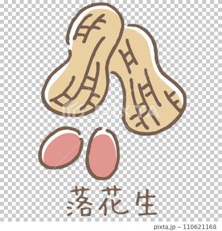 落花生のイラスト 落花生のイラスト 110621168
