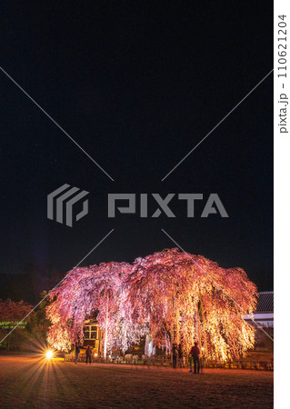 杵原学校の枝垂れ桜（ライトアップ） 110621204