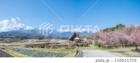「山梨県」快晴の空と水車の里公園の桜咲く風景 「山梨県」快晴の空と水車の里公園の桜咲く風景 110621729