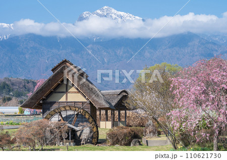 「山梨県」快晴の空と水車の里公園の桜咲く風景 「山梨県」快晴の空と水車の里公園の桜咲く風景 110621730