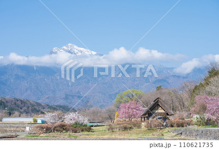 「山梨県」快晴の空と水車の里公園の桜咲く風景 「山梨県」快晴の空と水車の里公園の桜咲く風景 110621735