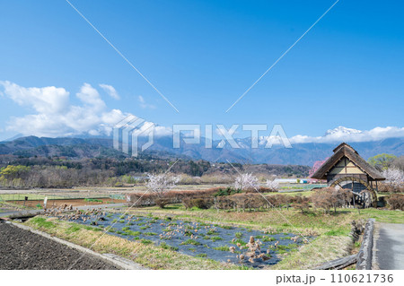 「山梨県」快晴の空と水車の里公園の桜咲く風景 「山梨県」快晴の空と水車の里公園の桜咲く風景 110621736