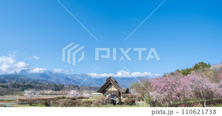 「山梨県」快晴の空と水車の里公園の桜咲く風景 110621738
