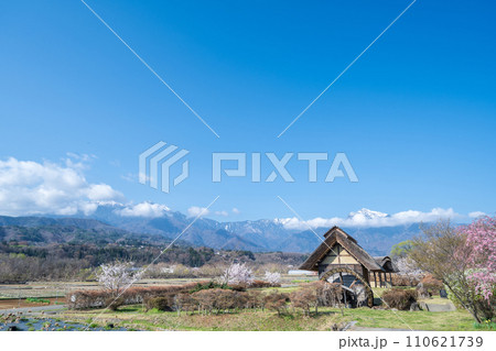 「山梨県」快晴の空と水車の里公園の桜咲く風景 「山梨県」快晴の空と水車の里公園の桜咲く風景 110621739