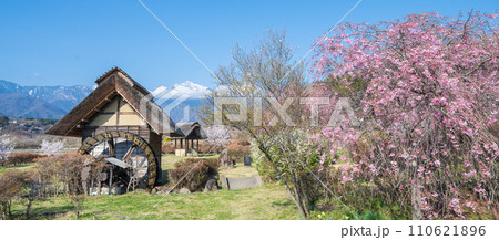 「山梨県」快晴の空と水車の里公園の桜咲く風景 「山梨県」快晴の空と水車の里公園の桜咲く風景 110621896